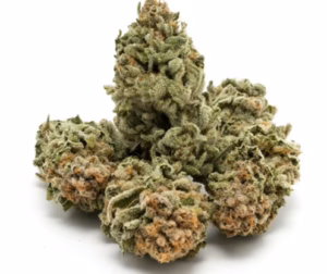 9LB HAMMER STRAIN